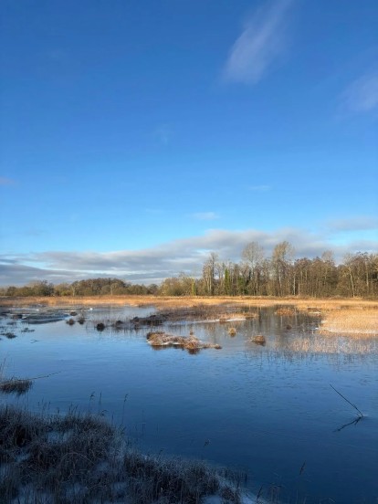 Sculthorpe Moor Wetland